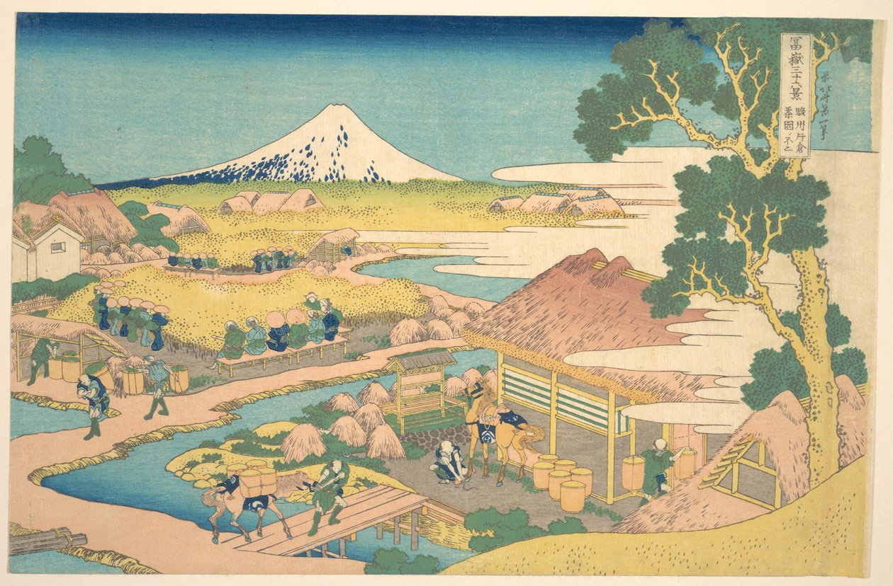 Fuji Surugan Katakuran teeviljelmiltä (Sunshū Katakura chaen no Fuji), sarjasta ”36 näkymää Fuji-vuoresta” (Fugaku sanjūrokkei) tekijältä Katsushika Hokusai