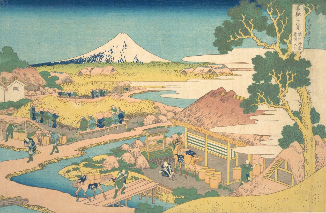Fuji Katakura Thea Fieldsin jäsenestä, mutta Fuji Katakura Tea Gardenista. . . , hyttynen. 1830-32. tekijältä Katsushika Hokusai