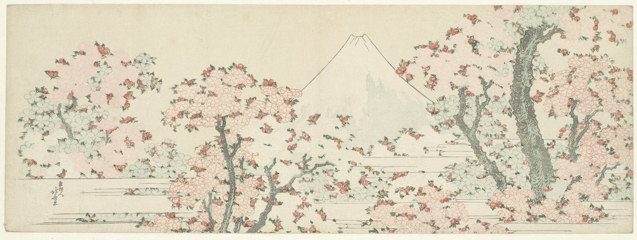 Fuji kirsikankukan päällä, n. 1800-1805 (puupiirros) tekijältä Katsushika Hokusai