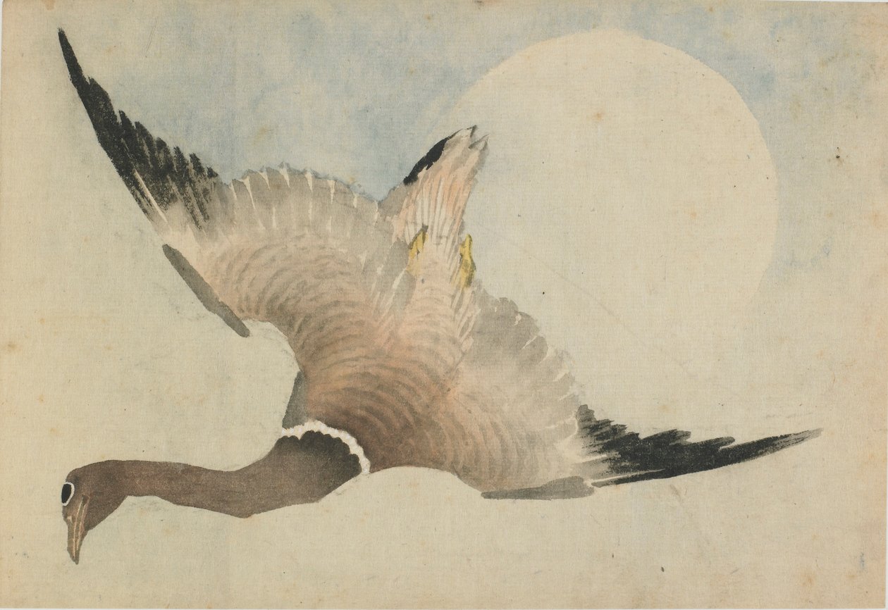 Kuun edessä lentävä hanhi, 1700-luvun loppu - 1800-luvun alku. tekijältä Katsushika Hokusai