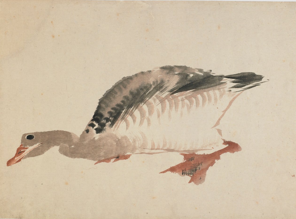 Hanhi, 1700-luvun loppu - 1800-luvun alku. tekijältä Katsushika Hokusai