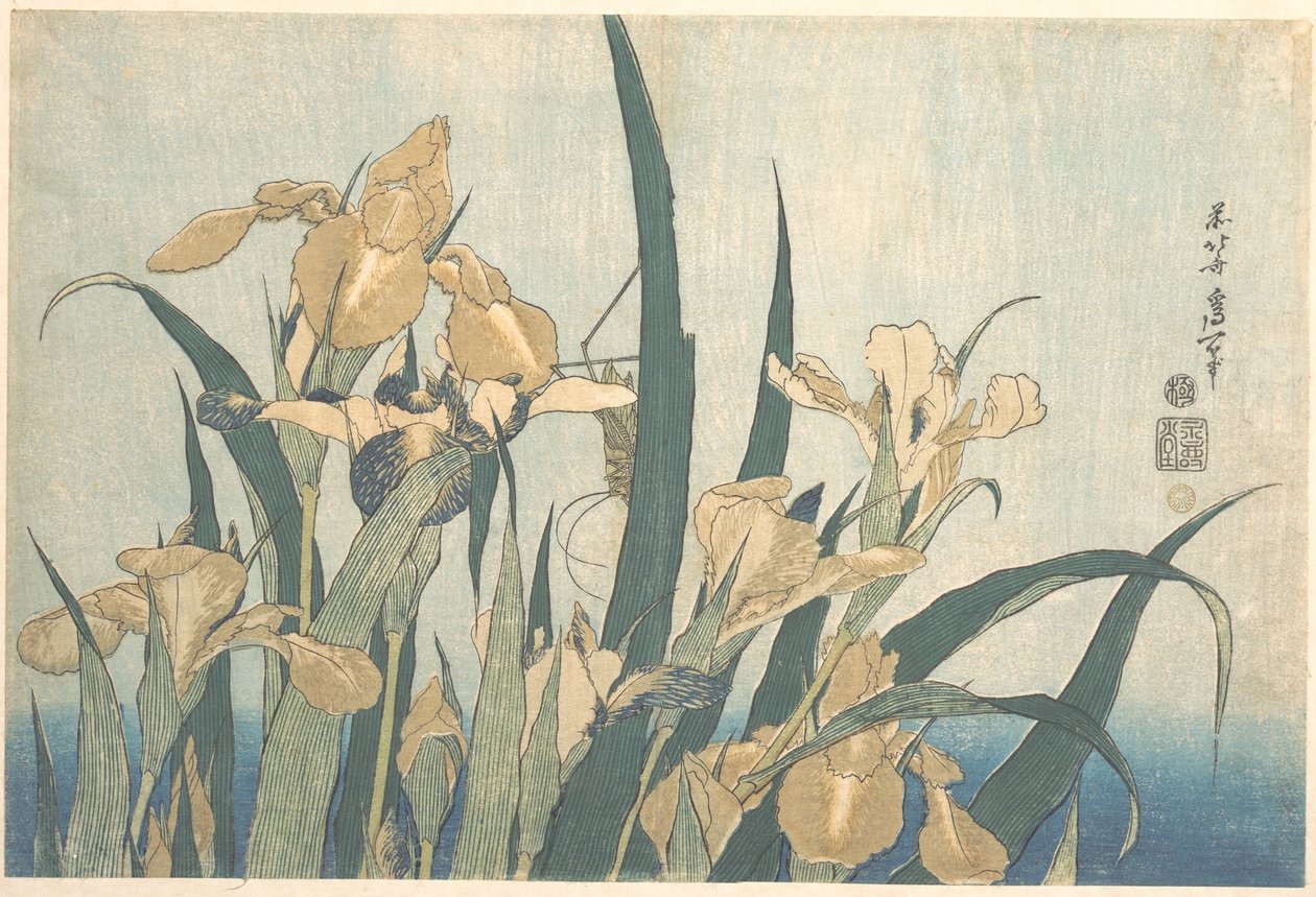 Heinäsirkka ja iiris tekijältä Katsushika Hokusai