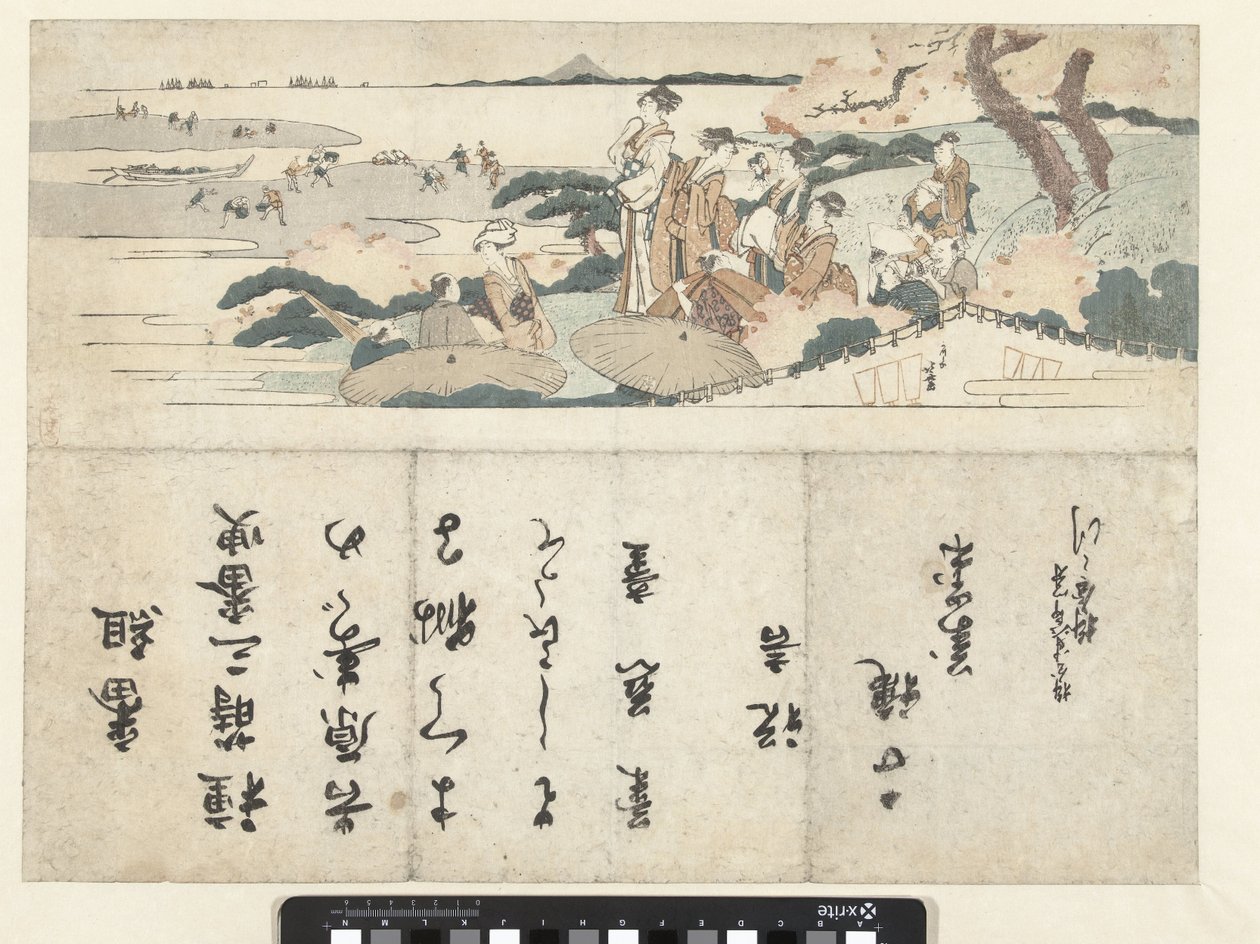 Kirsikankukan katselu tekijältä Katsushika Hokusai
