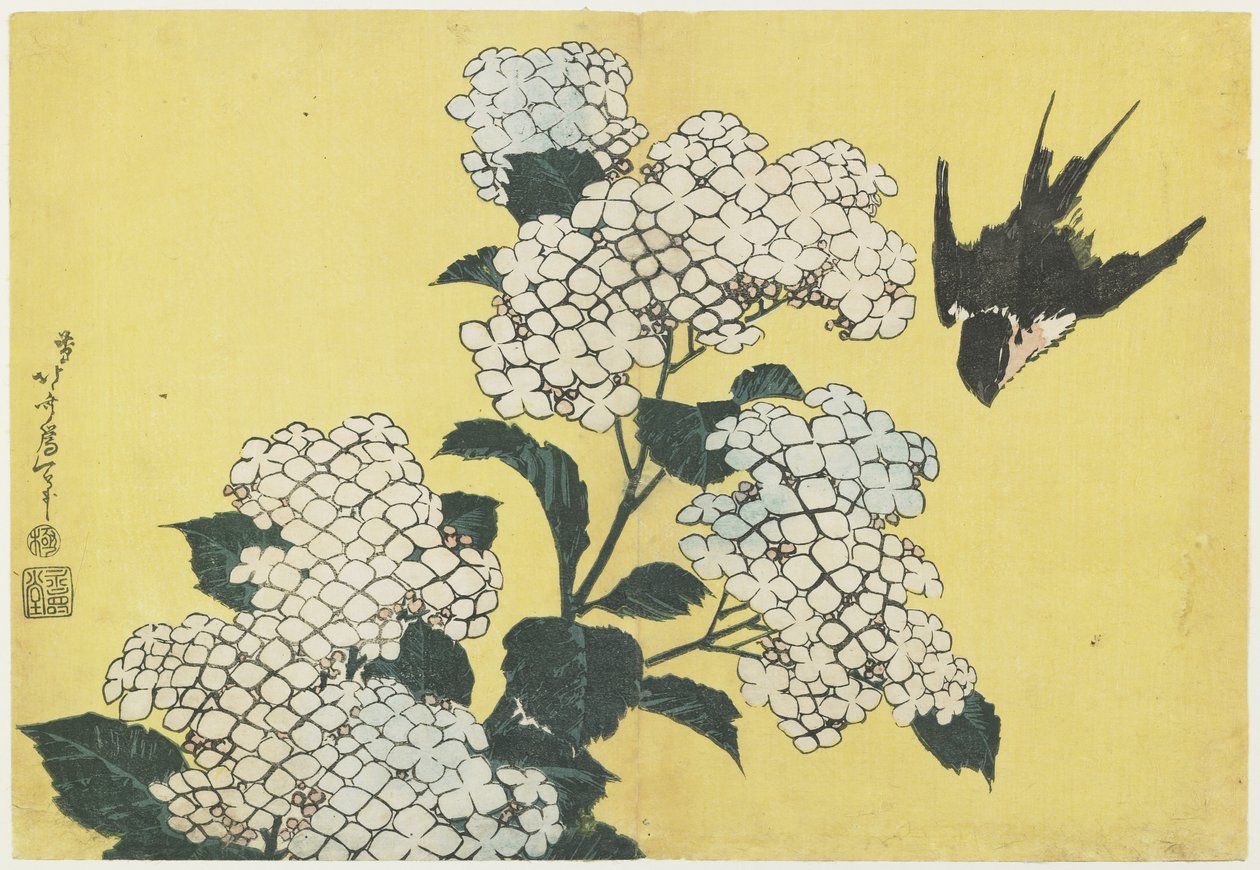 Hortensia ja pääskynen, n. 1832 tekijältä Katsushika Hokusai