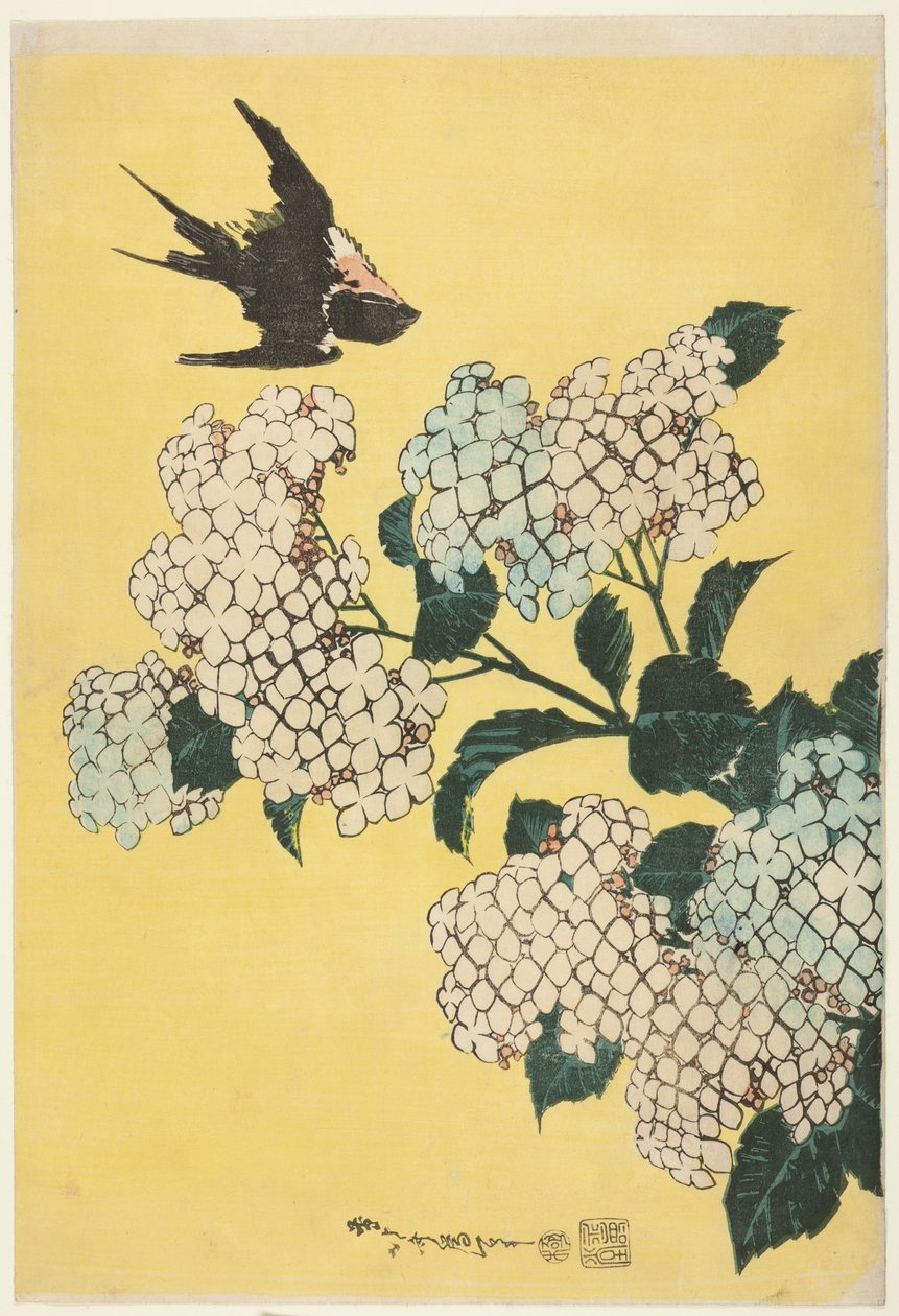 Hortensia ja Swallow, nimettömästä suurten kukkien sarjasta tekijältä Katsushika Hokusai