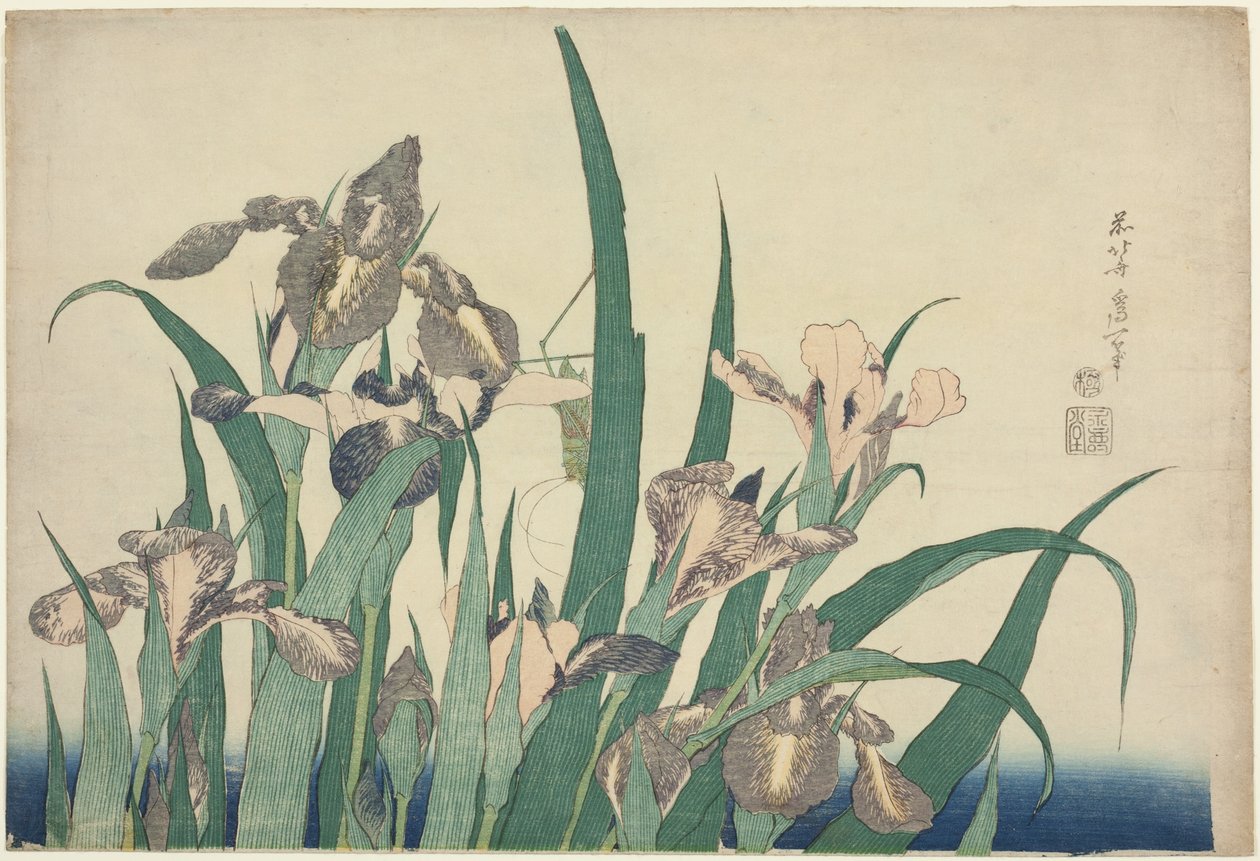 Iris ja Grasshopper, nimettömästä suurten kukkien sarjasta tekijältä Katsushika Hokusai