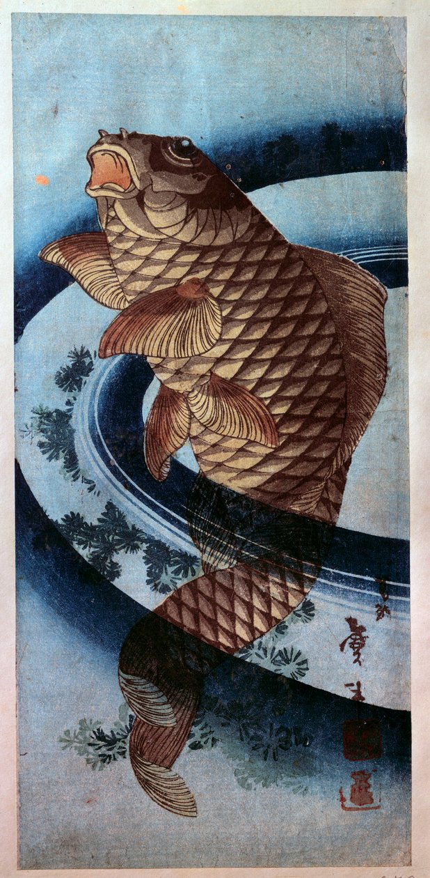 Japanilainen taide: karppi. vedos Katsushika Hokusai (1760-1849) 1800-luvun Pariisi, Musee Guimet tekijältä Katsushika Hokusai