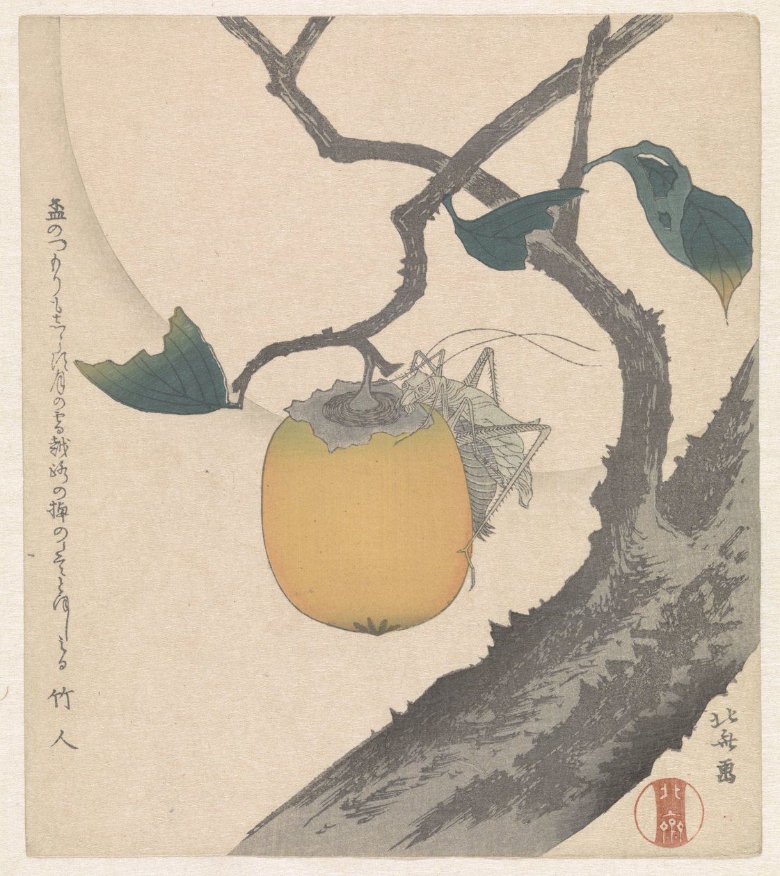 Kaki hedelmää heinäsirkkalla tekijältä Katsushika Hokusai