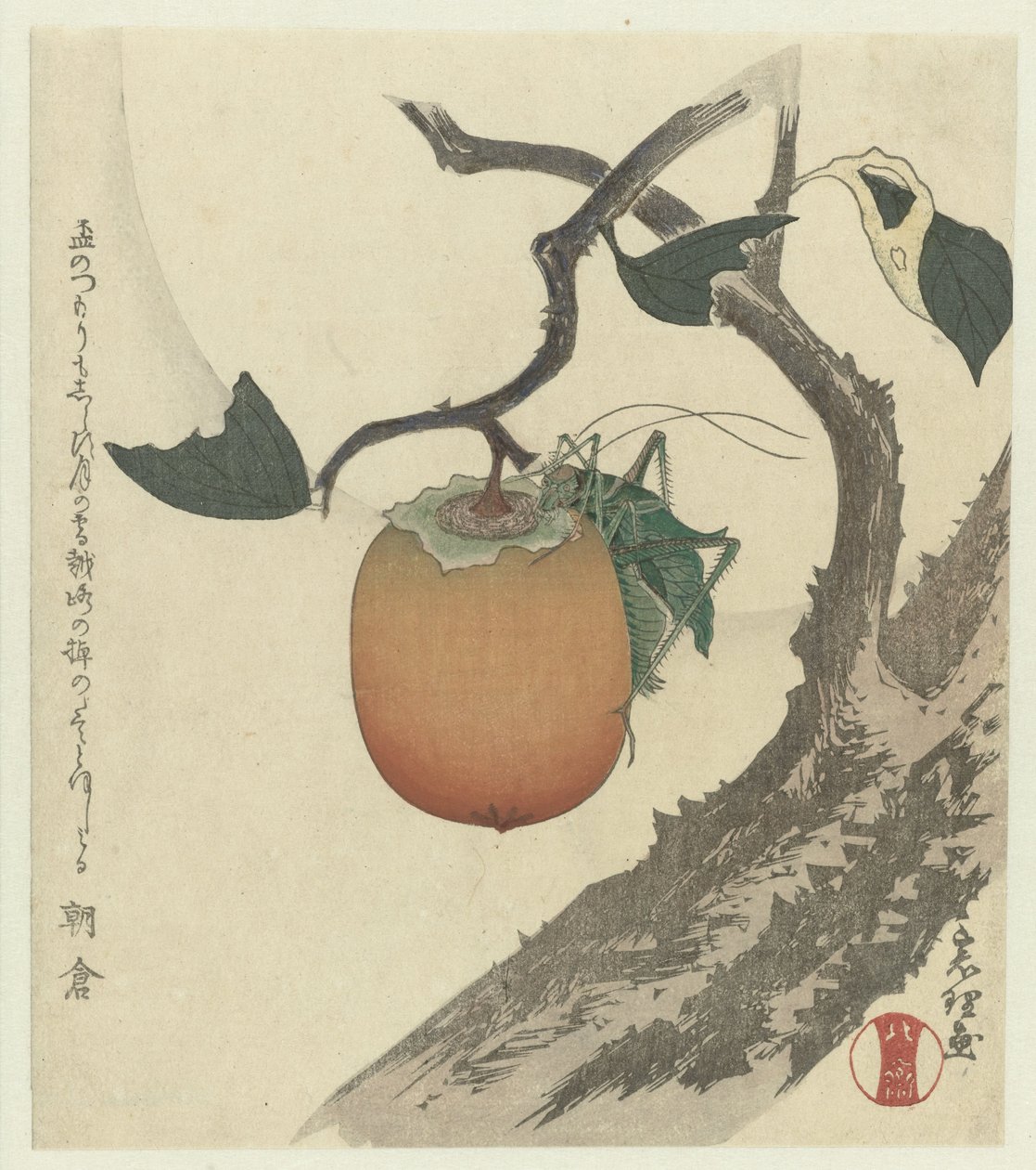Kaki hedelmää heinäsirkkalla tekijältä Katsushika Hokusai