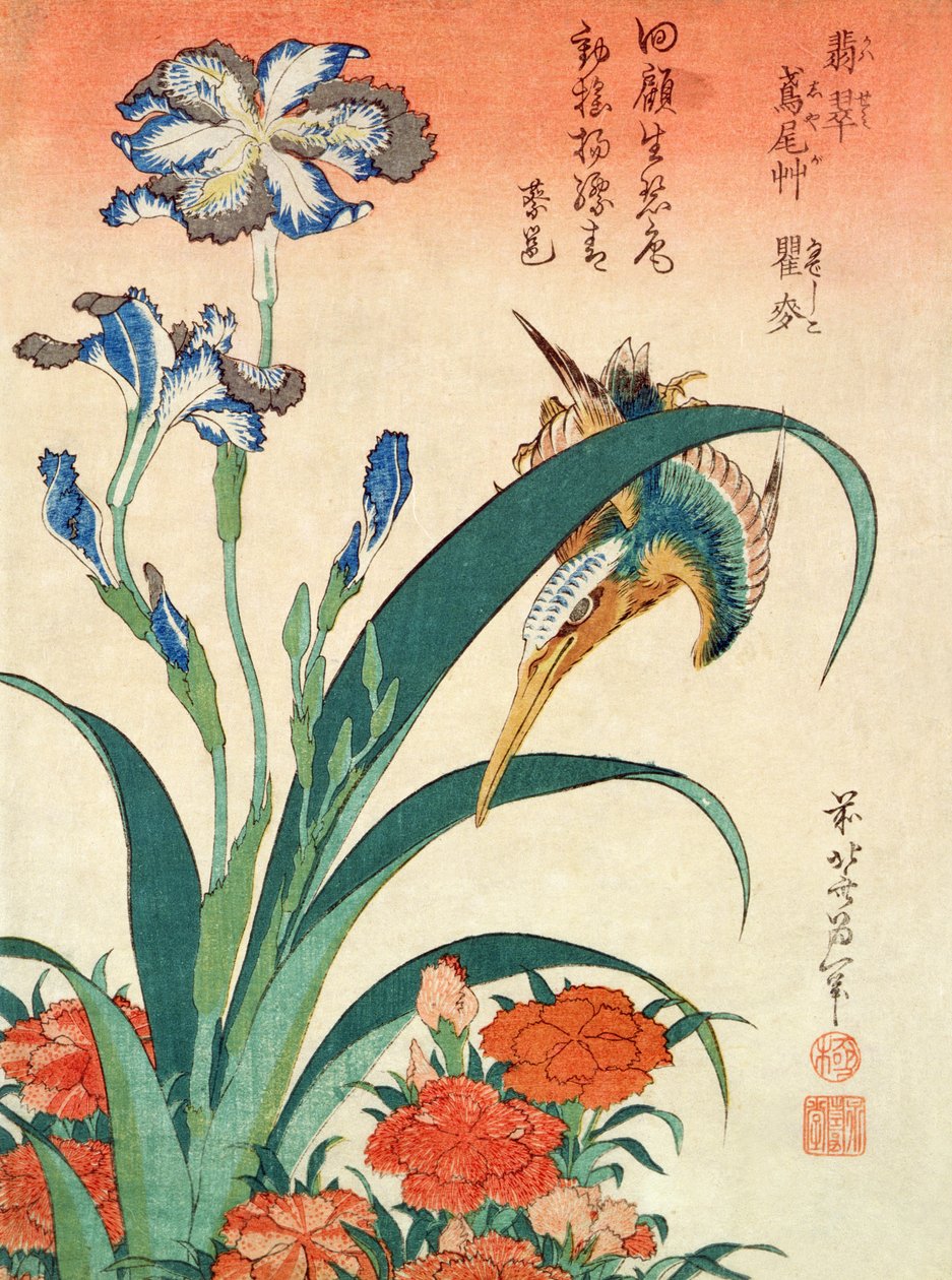 Kuningaskalastaja, iiris ja pinkit, julkaissut Nishimura Eijudo, n.1832, yksi kymmenestä vedoksesta, (chuban-koko, värillinen puupiirros). tekijältä Katsushika Hokusai