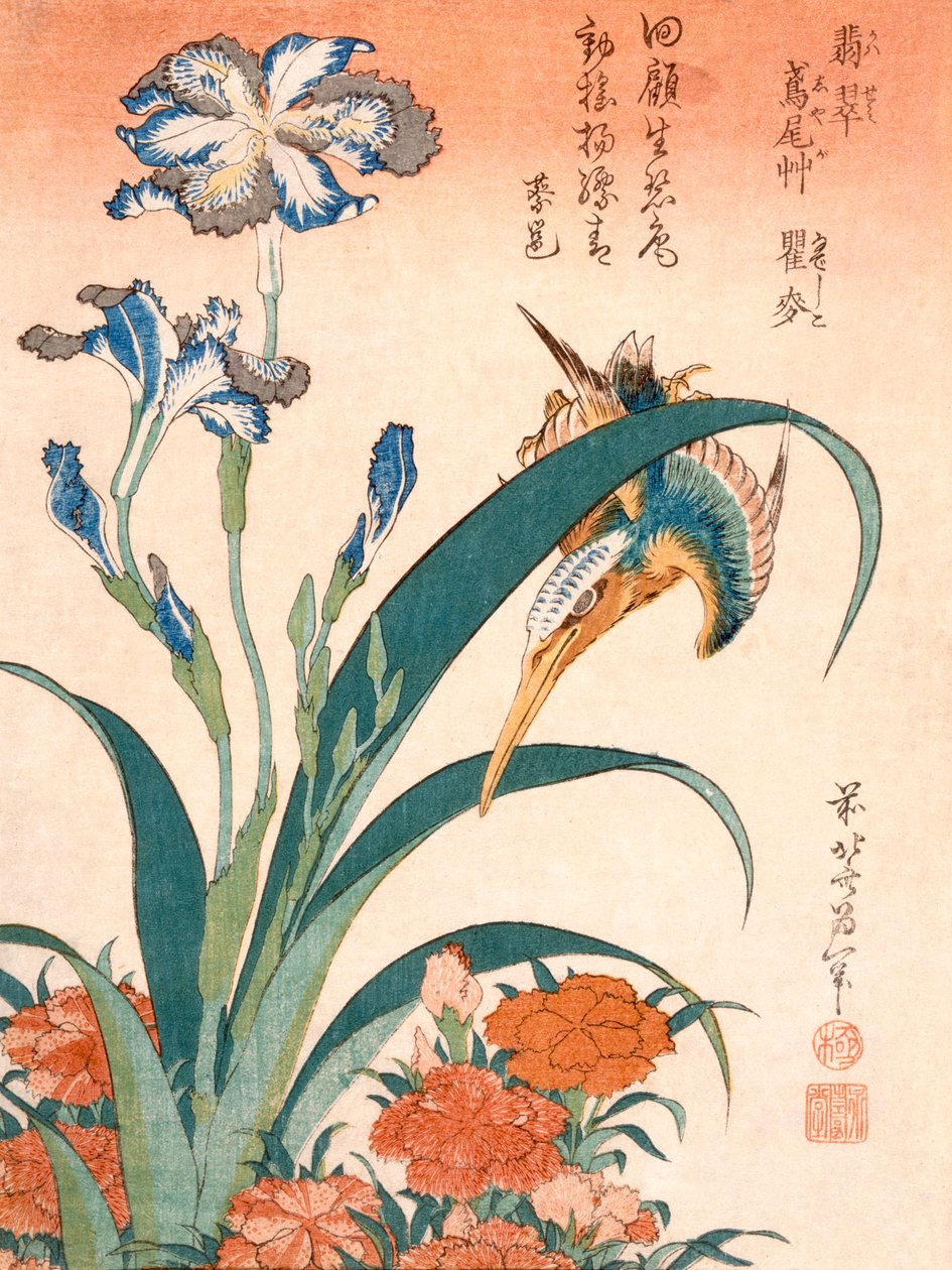 Kingfisher, Irises ja Pinks (värillinen puupalikkaprintti) tekijältä Katsushika Hokusai
