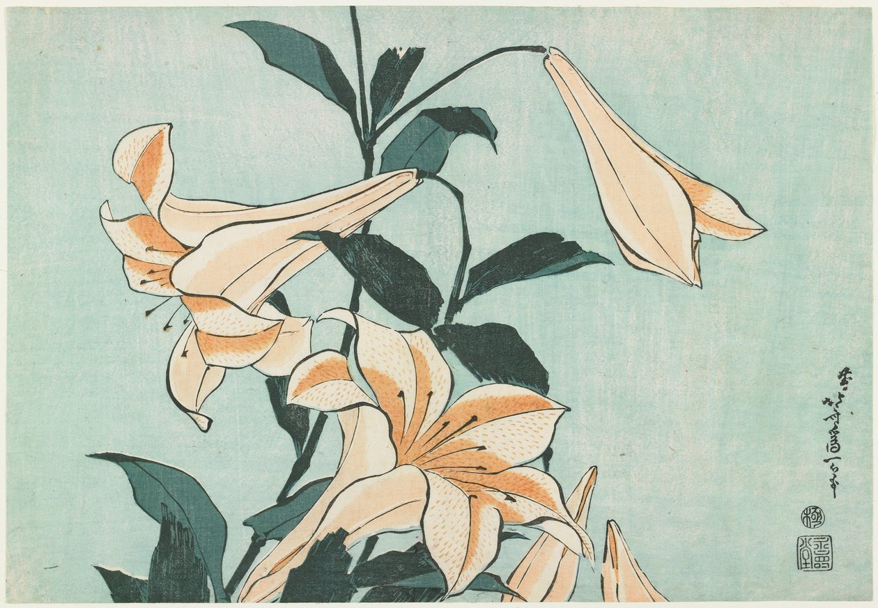 Liljat tekijältä Katsushika Hokusai