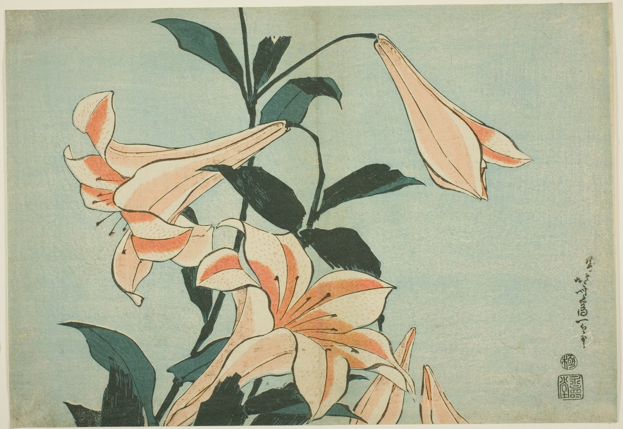 Liljat, nimettömästä Large Flowers -sarjasta tekijältä Katsushika Hokusai