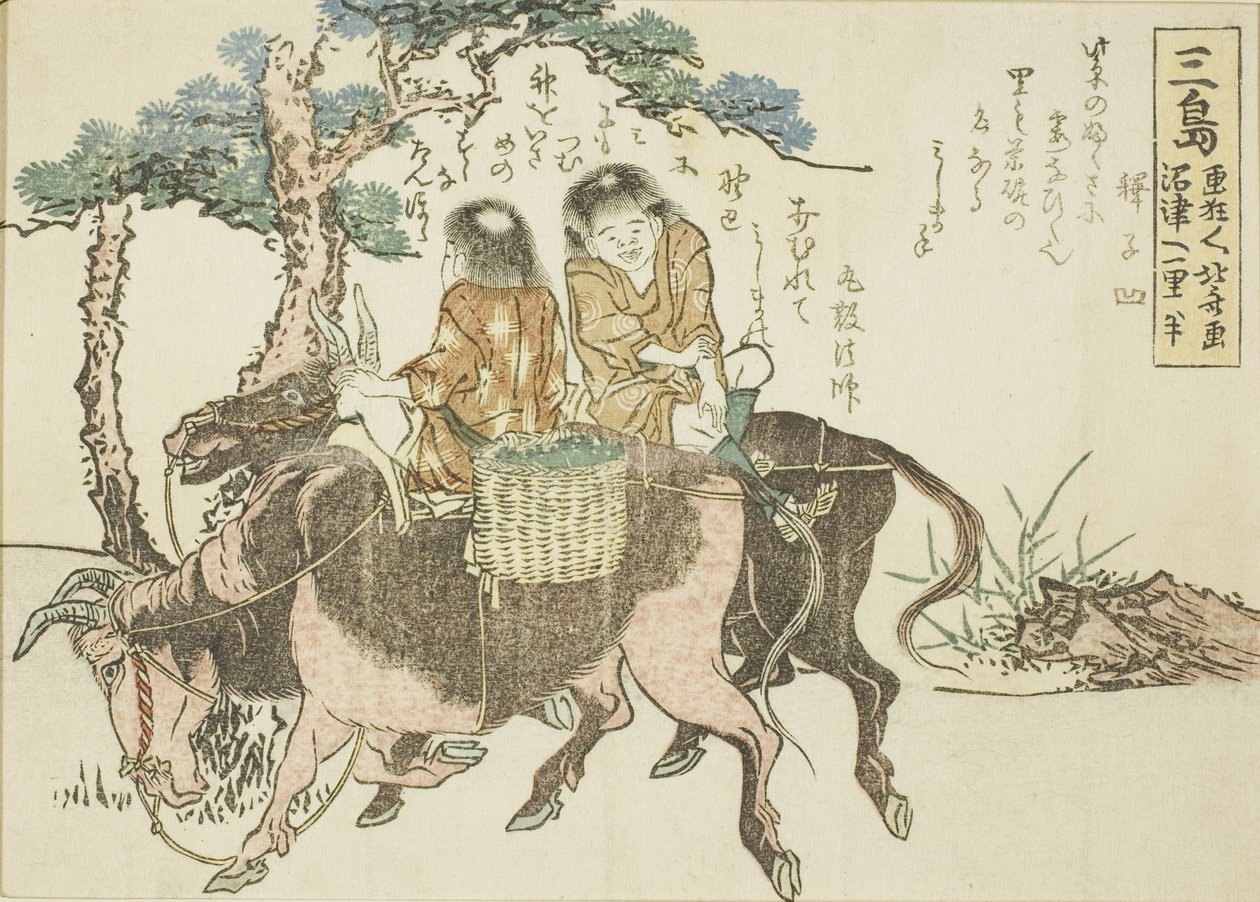 Mishima, Tokaidon 53 aseman nimettömästä sarjasta tekijältä Katsushika Hokusai