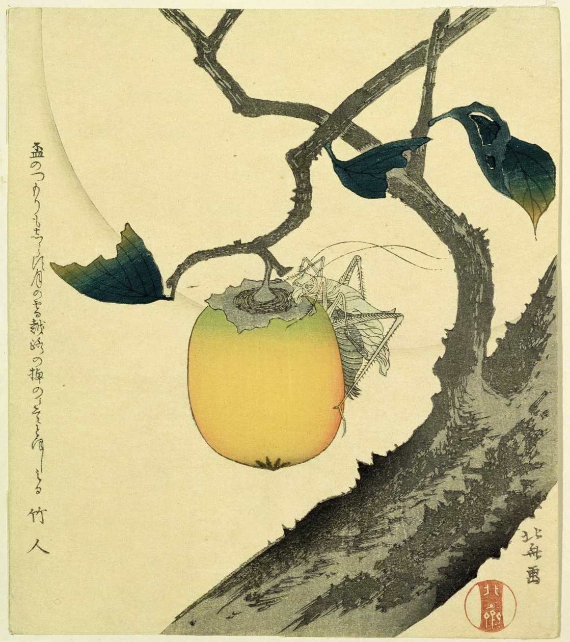 Kuu, persimon ja heinäsirkka, 1807 (värillinen puupiirros) tekijältä Katsushika Hokusai