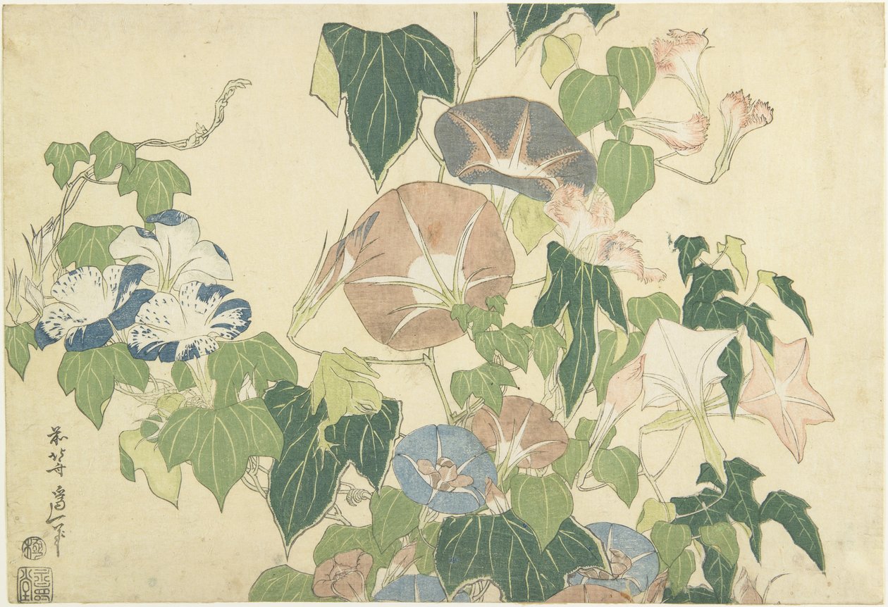 Morning Glories ja Tree Frog, nimettömästä sarjasta, joka tunnetaan nimellä Large Flowers, n. 1833-1834 (värillinen puupainatus) tekijältä Katsushika Hokusai