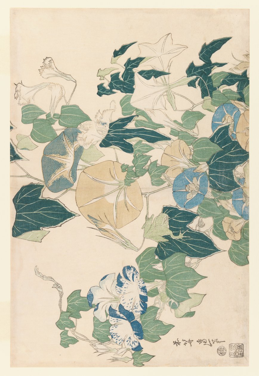 Morning Glories in Flowers and Buds, n. 1830 (värillinen puupainatus) tekijältä Katsushika Hokusai