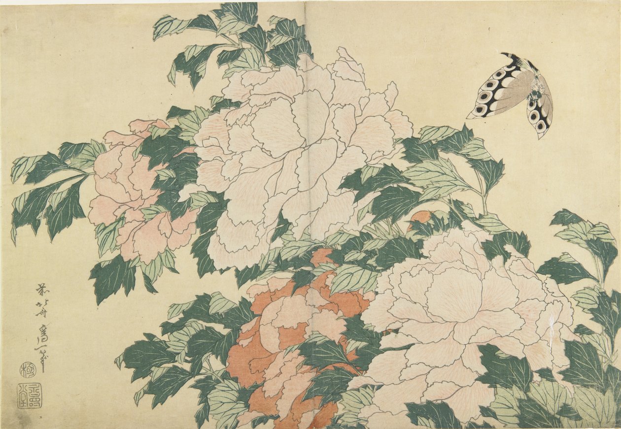 Pionit ja perhonen, c. 1830-1831 tekijältä Katsushika Hokusai