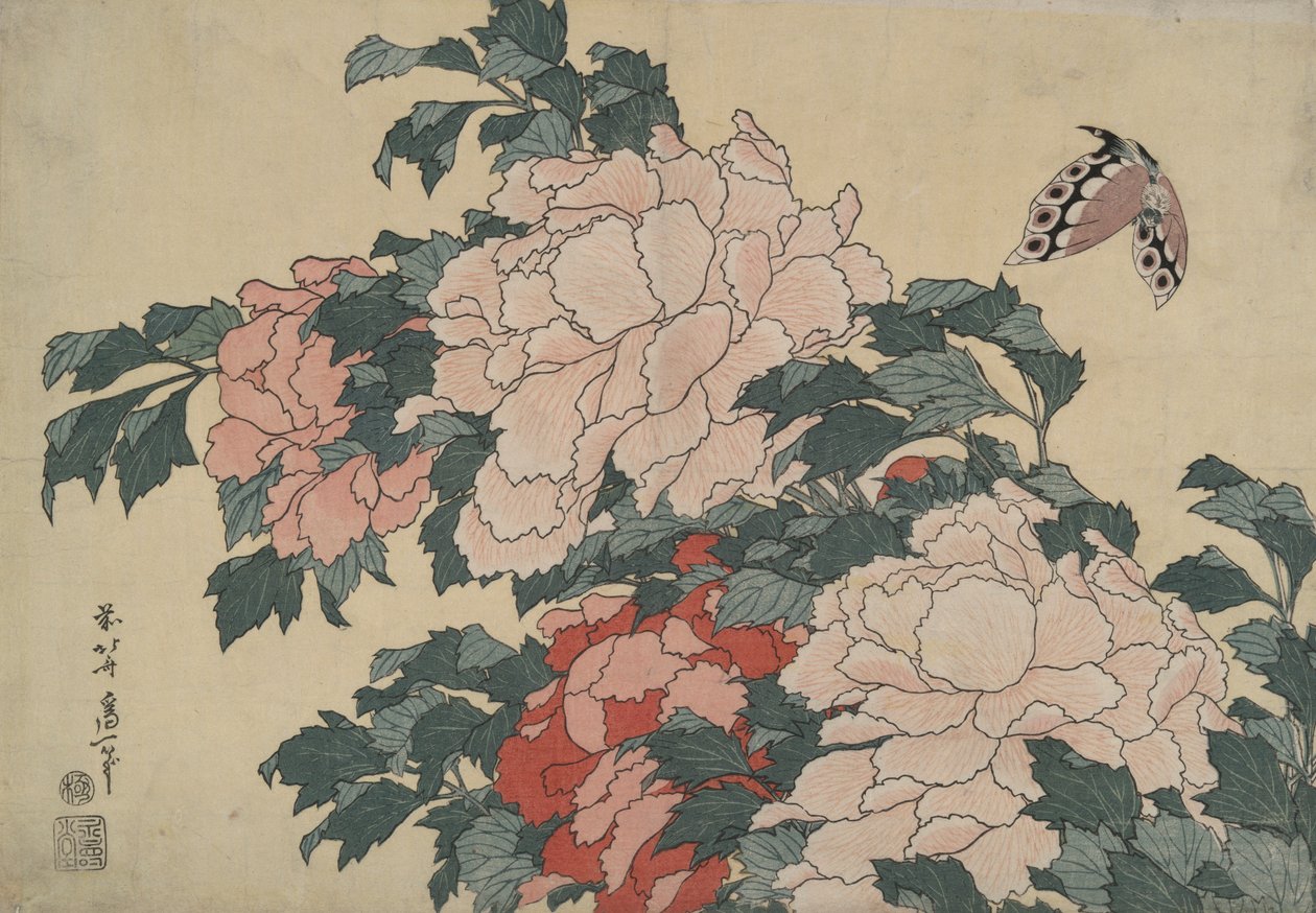 Pionit ja perhonen, nimettömästä sarjasta nimeltä Large Flowers tekijältä Katsushika Hokusai