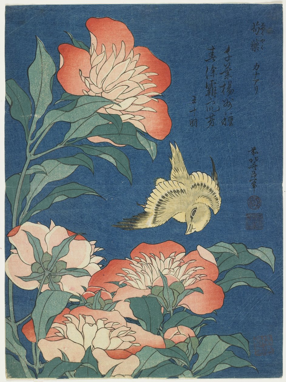 Pionit ja kanaria, n. 1833 tekijältä Katsushika Hokusai