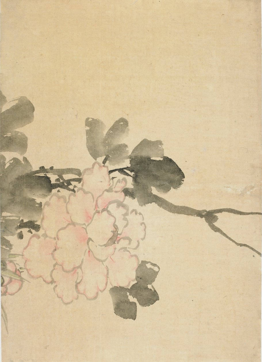 Peônia, final do século XVIII e início do século XIX. finlandês tekijältä Katsushika Hokusai