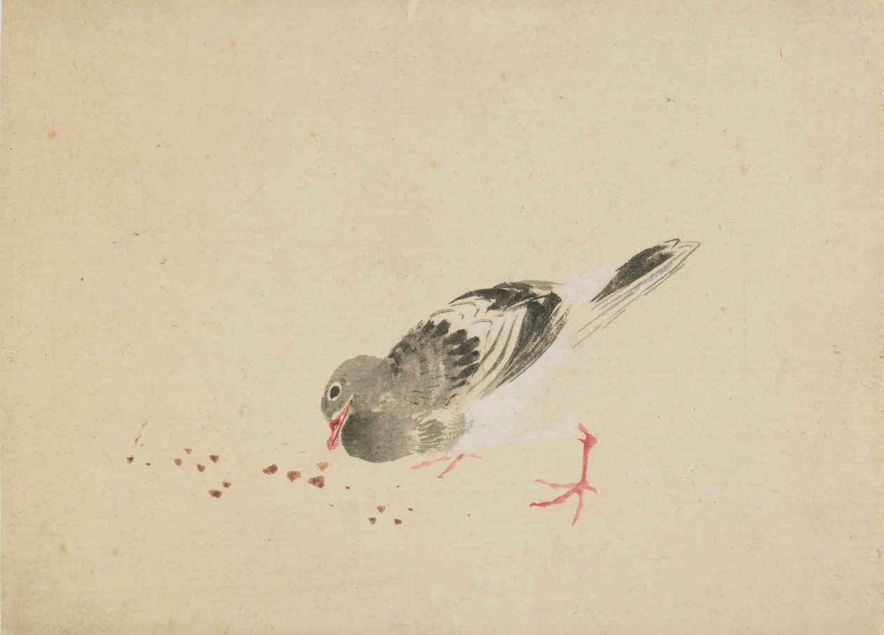 Kyyhkynen, 1700-luvun loppu - 1800-luvun alku. tekijältä Katsushika Hokusai