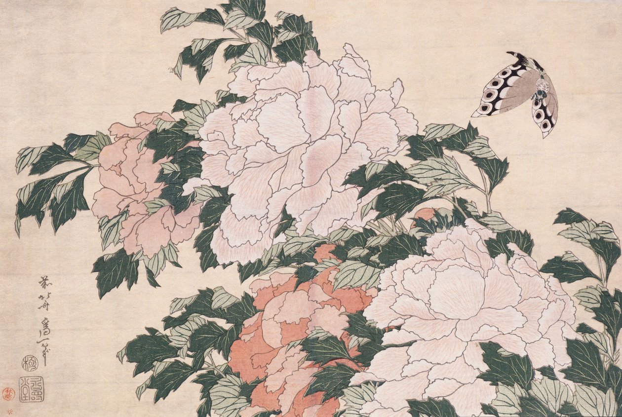 Vaaleanpunaiset ja punaiset pionit puhalletaan vasemmalle tuulessa ja perhosessa tekijältä Katsushika Hokusai
