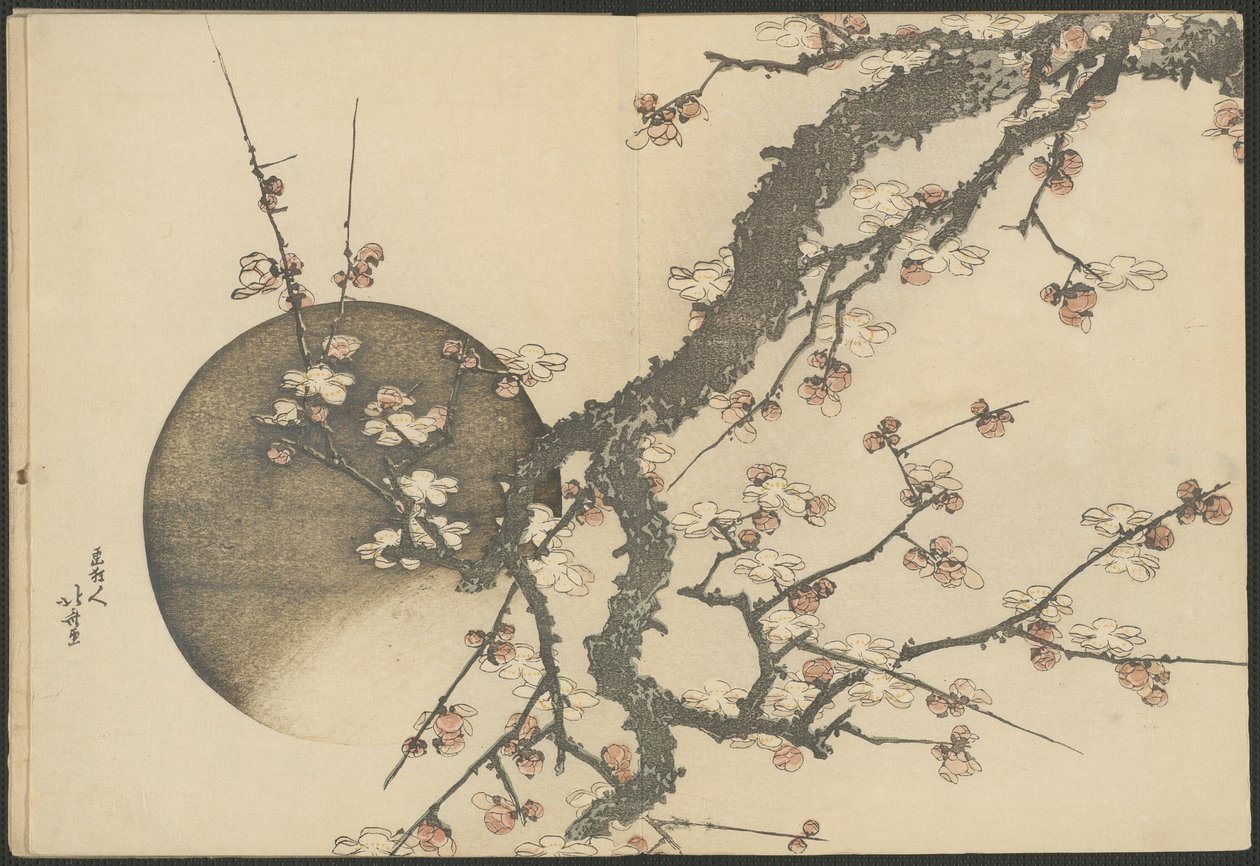 Luumunkukka ja kuu kirjasta Mount Fuji in Spring (Haru no Fuji) (Fuji-vuori keväällä) tekijältä Katsushika Hokusai