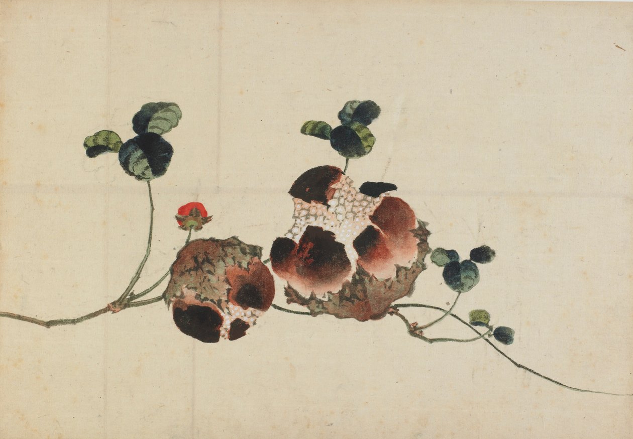 Magranes, finals del segle XVIII-principis del XIX. finlandès tekijältä Katsushika Hokusai