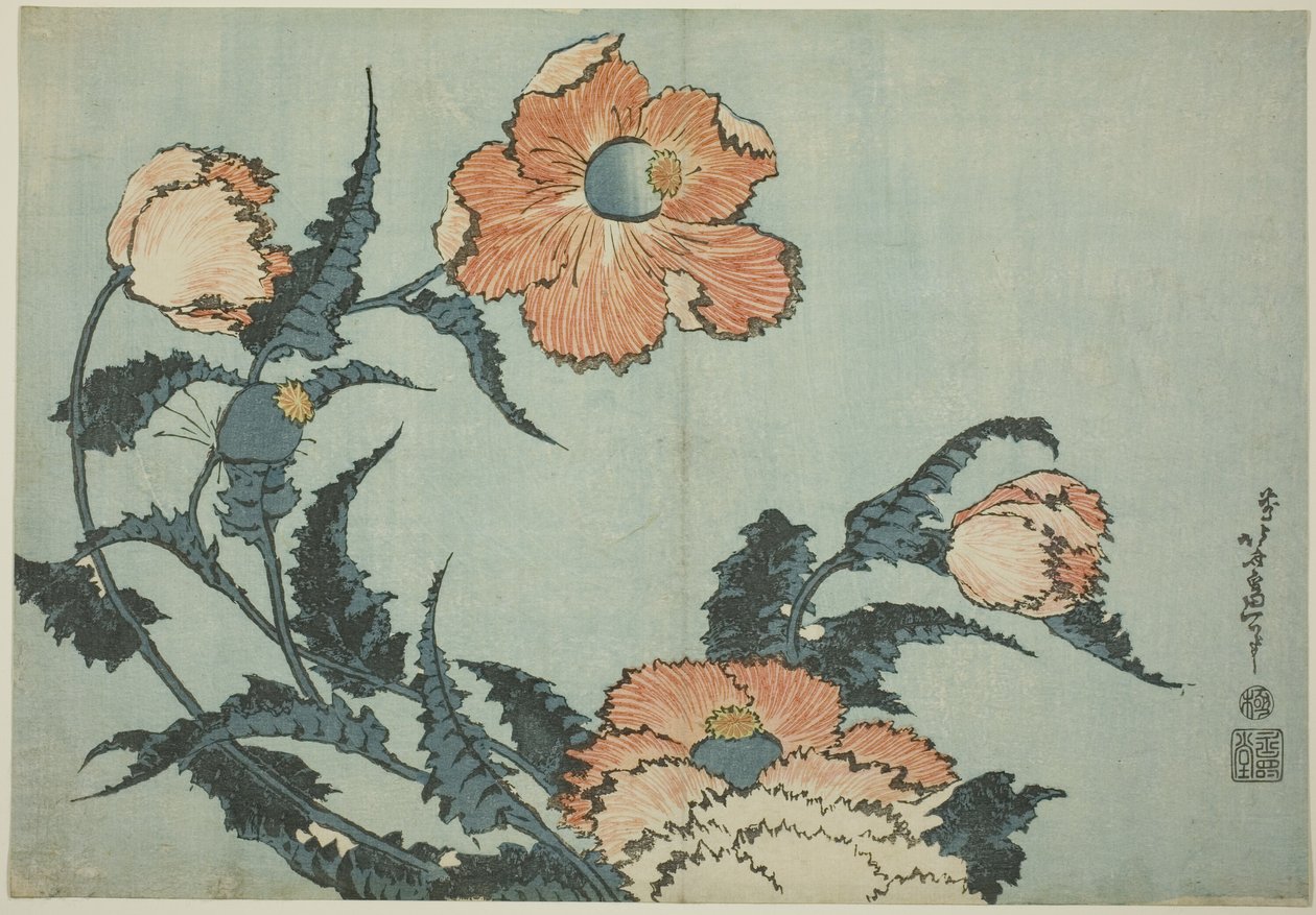Poppies, from an untitled series of flowers tekijältä Katsushika Hokusai