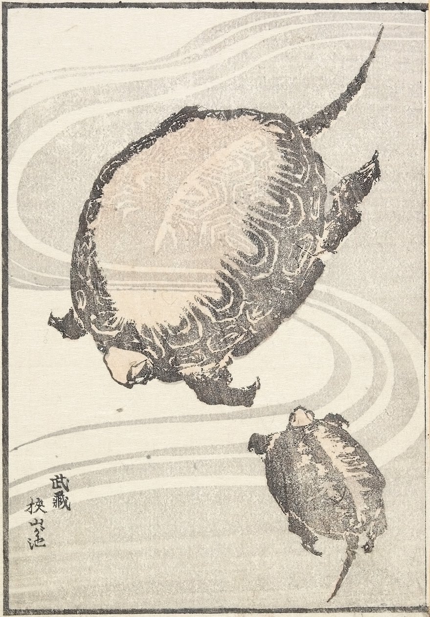 Sayama-ga-ike pon d -jäsen Musashi P Rovinse, 1817 tekijältä Katsushika Hokusai