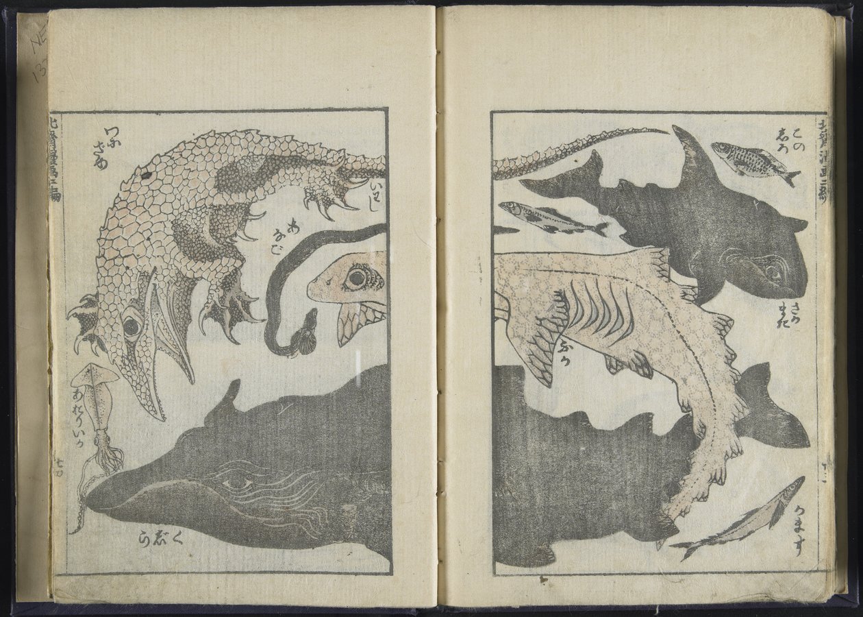 Luonnoslehti (puupiirros) tekijältä Katsushika Hokusai