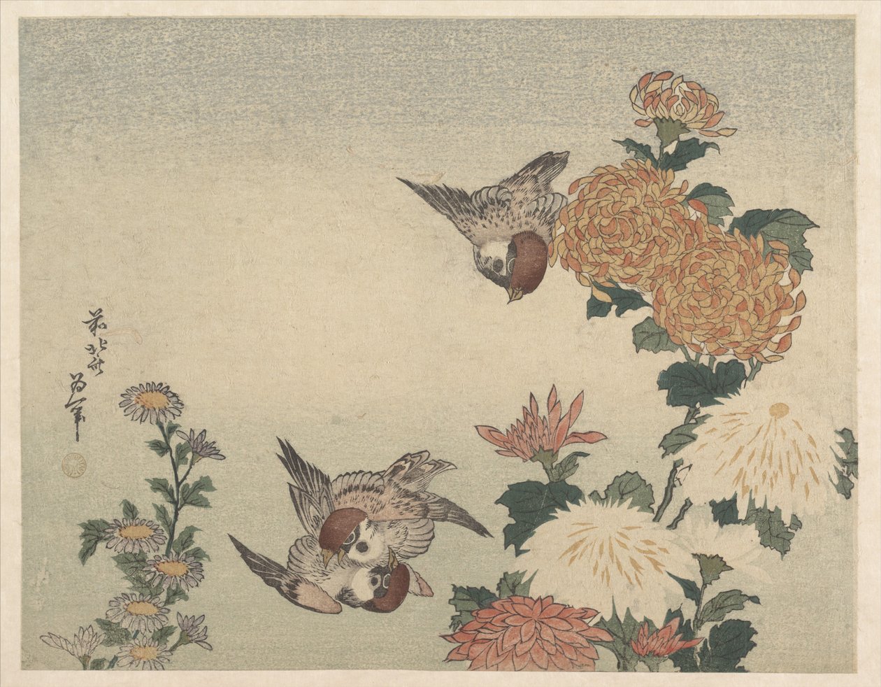 Varpuset ja krysanteemit tekijältä Katsushika Hokusai