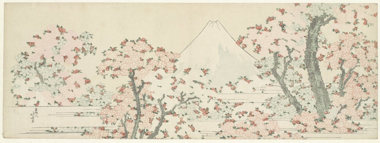 Fuji-vuori ja kirsikkapuita kukkivat tekijältä Katsushika Hokusai