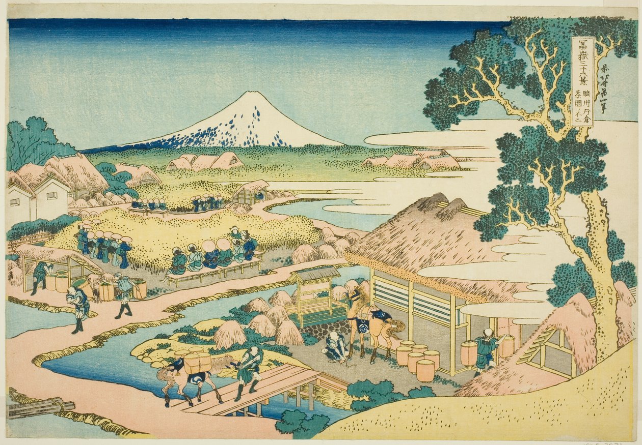 Thea Fans sound f Katakura jäsen Suru P Lovinse (auringon sake Katakura Chaen no Fuji), Te Serie -sarjasta "Tierty x Views f Mount Fuji (Fugaku Kasa Juroku Katsura)" tekijältä Katsushika Hokusai