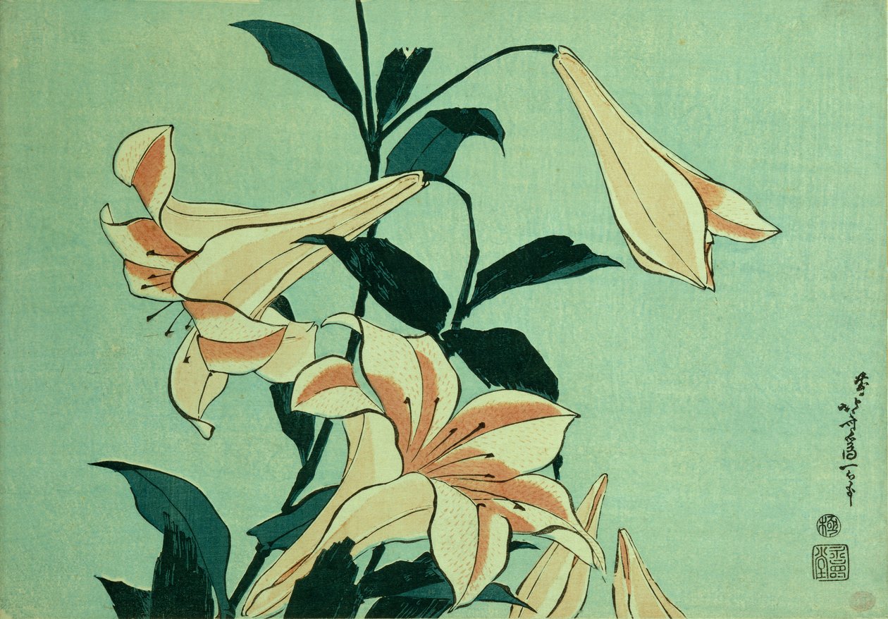 Trumpetililjat (värillinen puupalikkaprintti) tekijältä Katsushika Hokusai