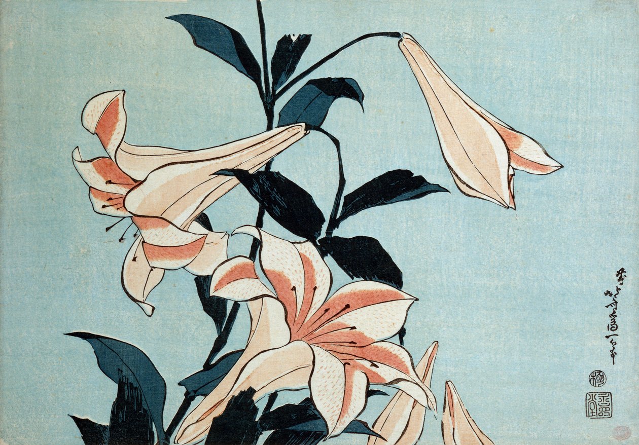 Trumpetti liljat tekijältä Katsushika Hokusai