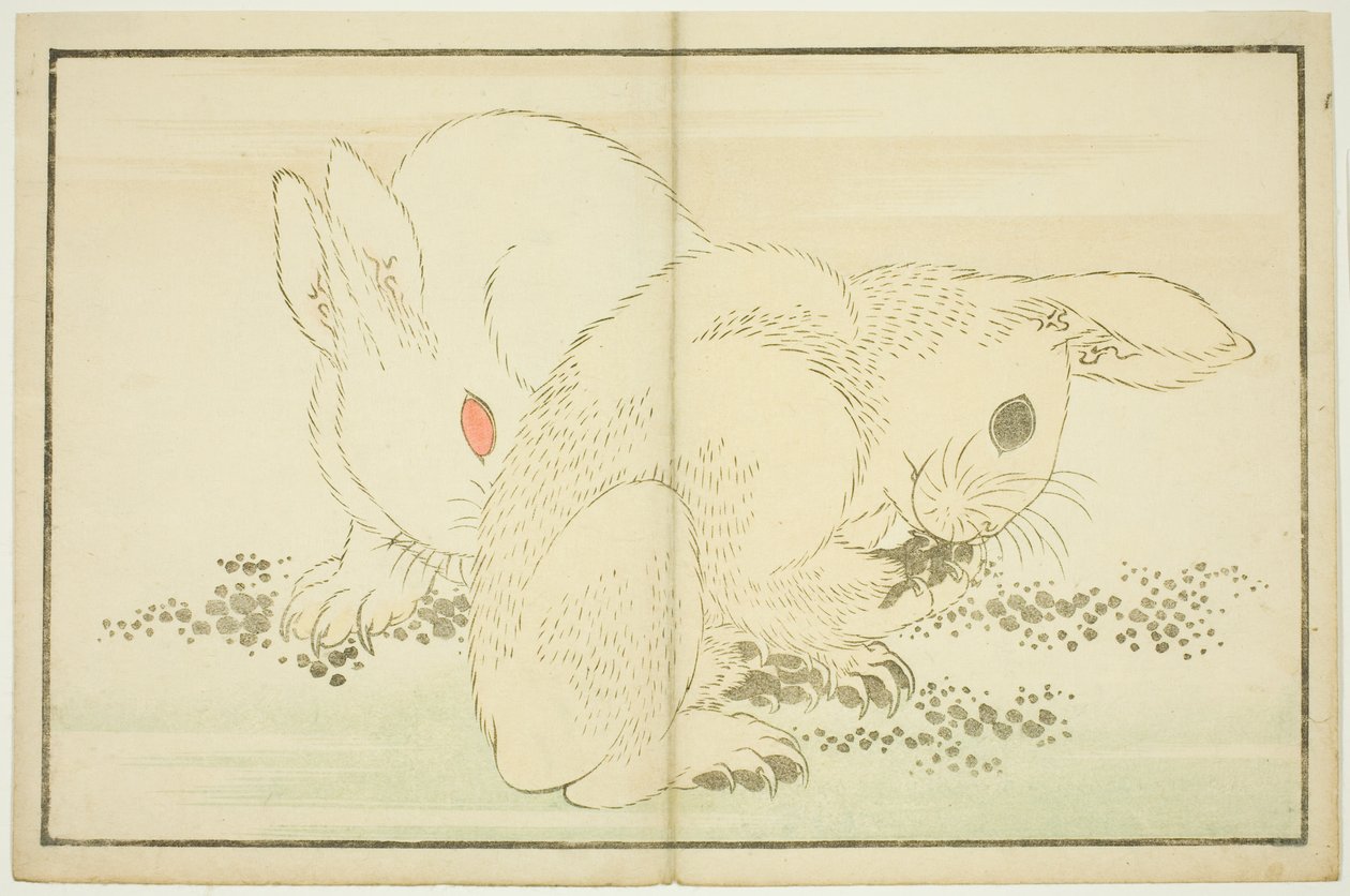 Kaksi kania, The Picture Book of Realistic Paintings of Hokusai (Hokusai shashin gafu) tekijältä Katsushika Hokusai