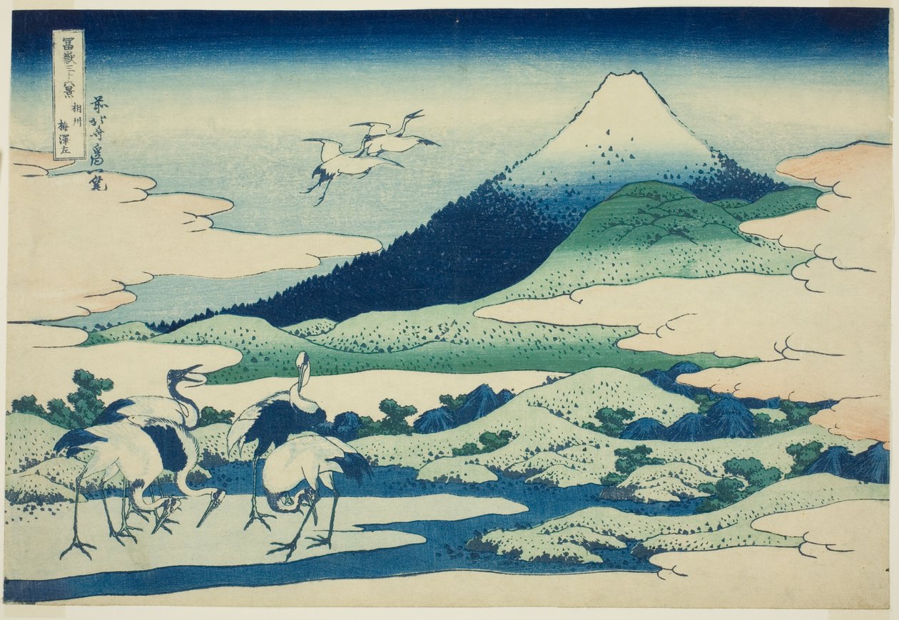 Marsh Umezawan jäsen Sagami P Rovinse (jalostamaton sake Umezawa vasemmalla), sarjasta "Ti rty x view ws of moun t Fuji (Fugaku Kasaju Rokukatsu)" tekijältä Katsushika Hokusai