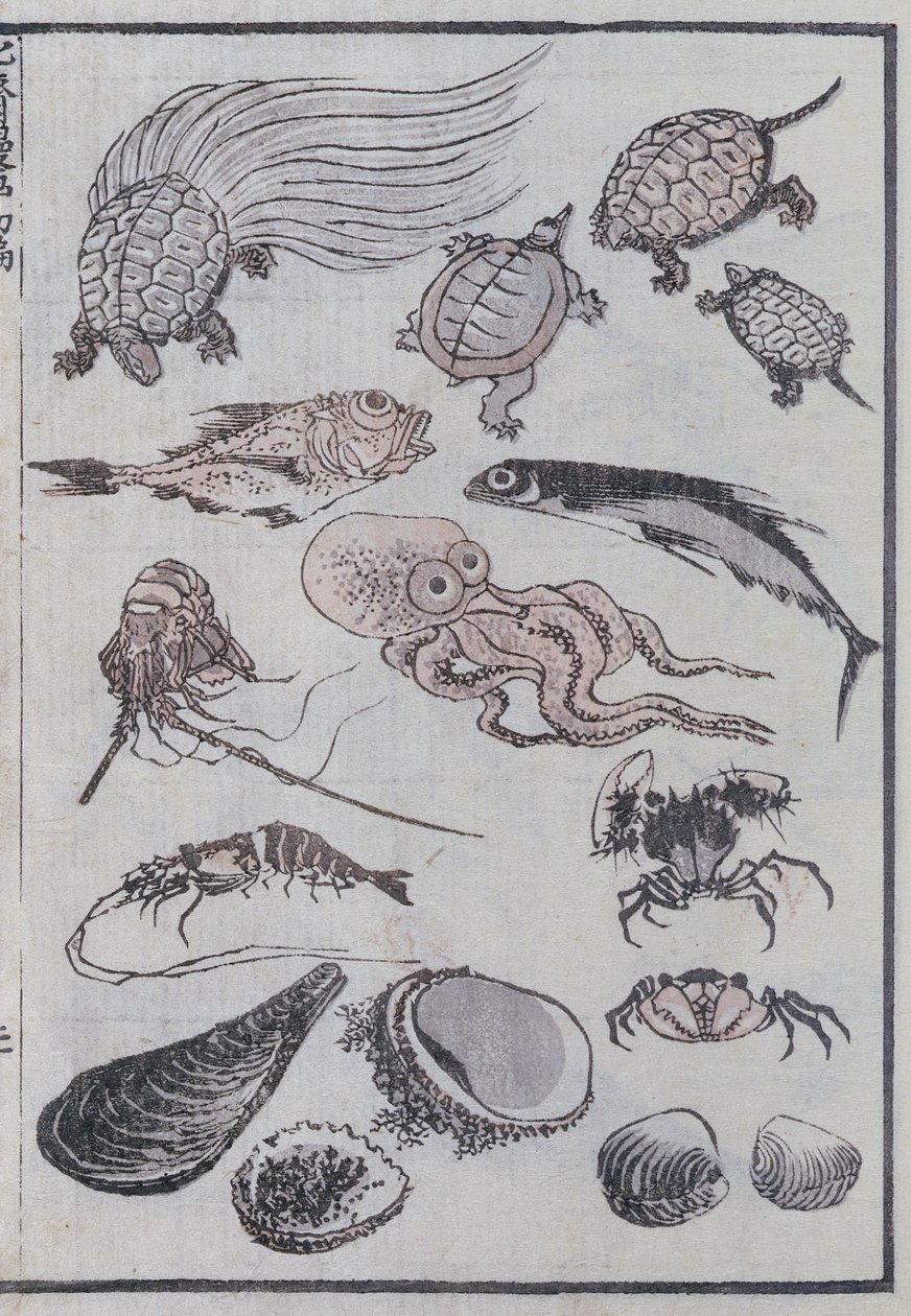 Vedenalaiset olennot Mangasta (värillinen puupalikkaprintti) tekijältä Katsushika Hokusai