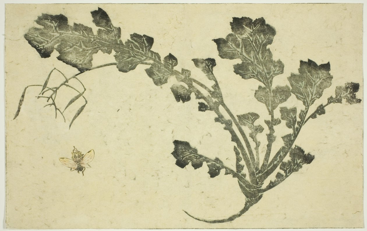 Ampiaisen ja nauris varsi, "The Picture Book of Realistic Paintings of Hokusai (Hokusai shashin gafu)" tekijältä Katsushika Hokusai