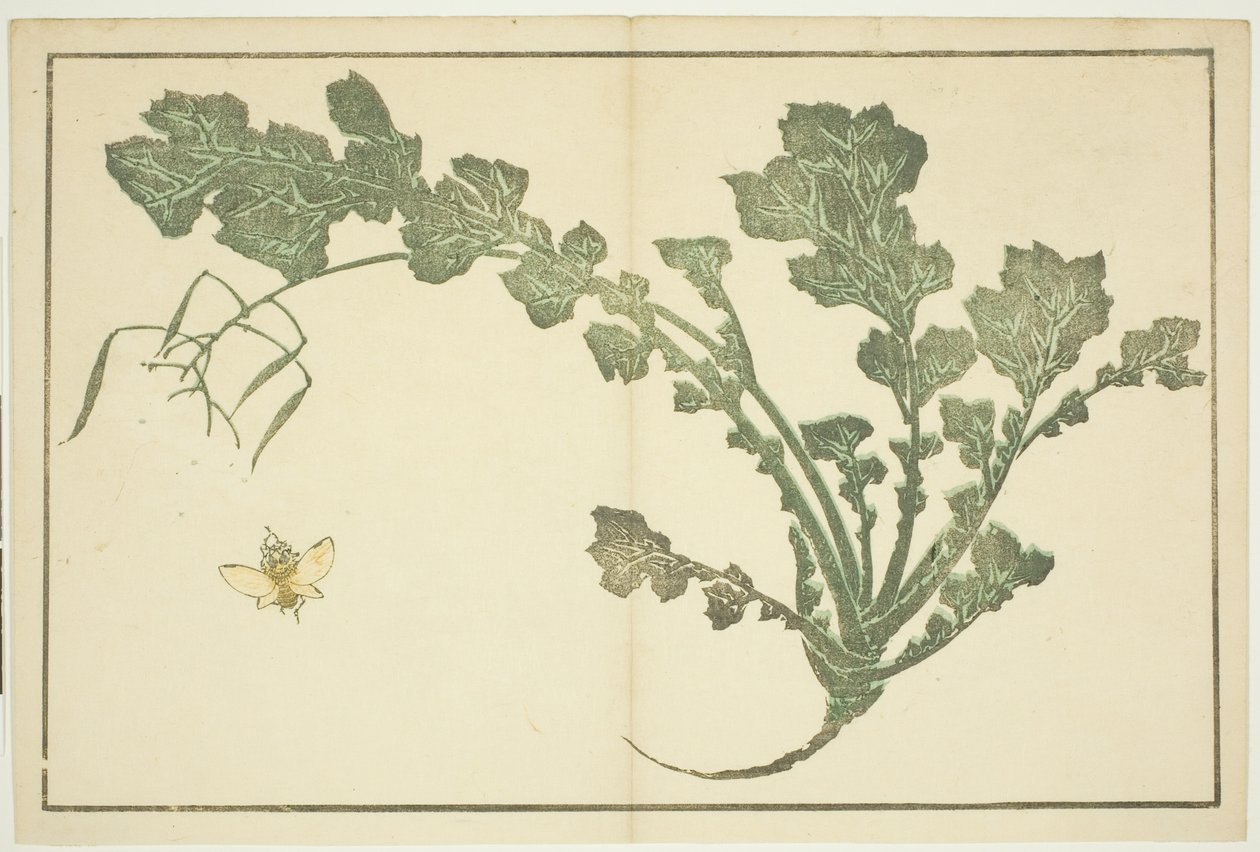 Ampiaisen ja nauris varsi, "The Picture Book of Realistic Paintings of Hokusai (Hokusai shashin gafu)" tekijältä Katsushika Hokusai