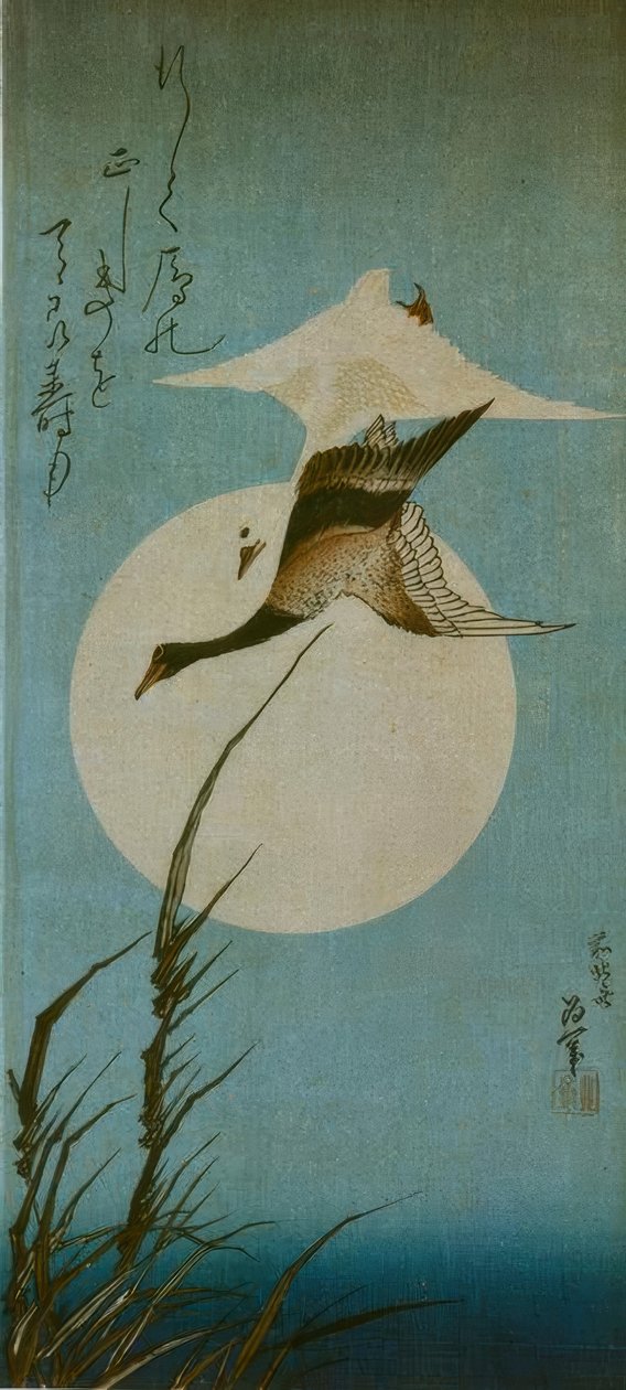 Zwei Wildgänse tekijältä Katsushika Hokusai