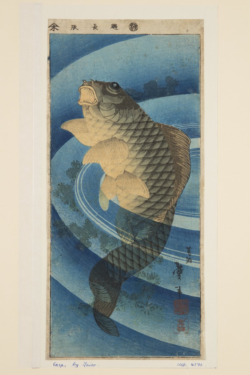 Karppi (värillinen puupainatus) tekijältä Katsushika II (fl.1820 50) Taito