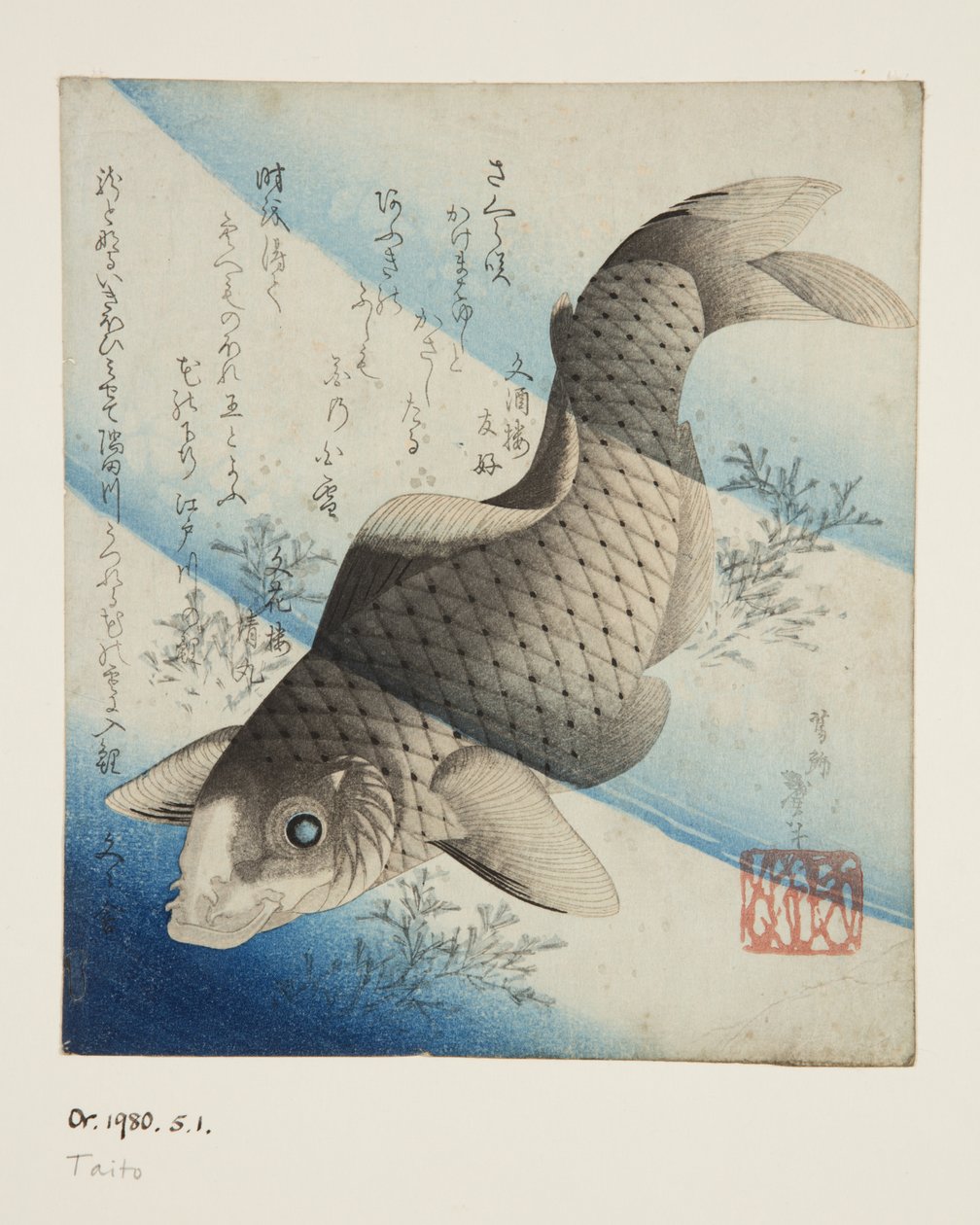 Karppi vedessä (värillinen puupainatus) tekijältä Katsushika II (fl.1820 50) Taito
