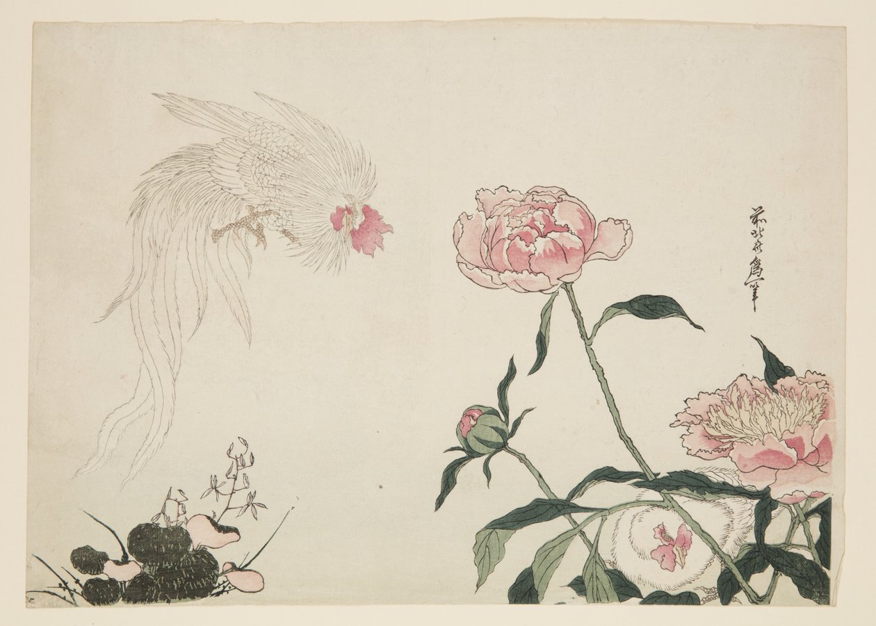 Pitkähäntäkukot kukkien joukossa (värillinen puupainatus) tekijältä Katsushika II (fl.1820 50) Taito