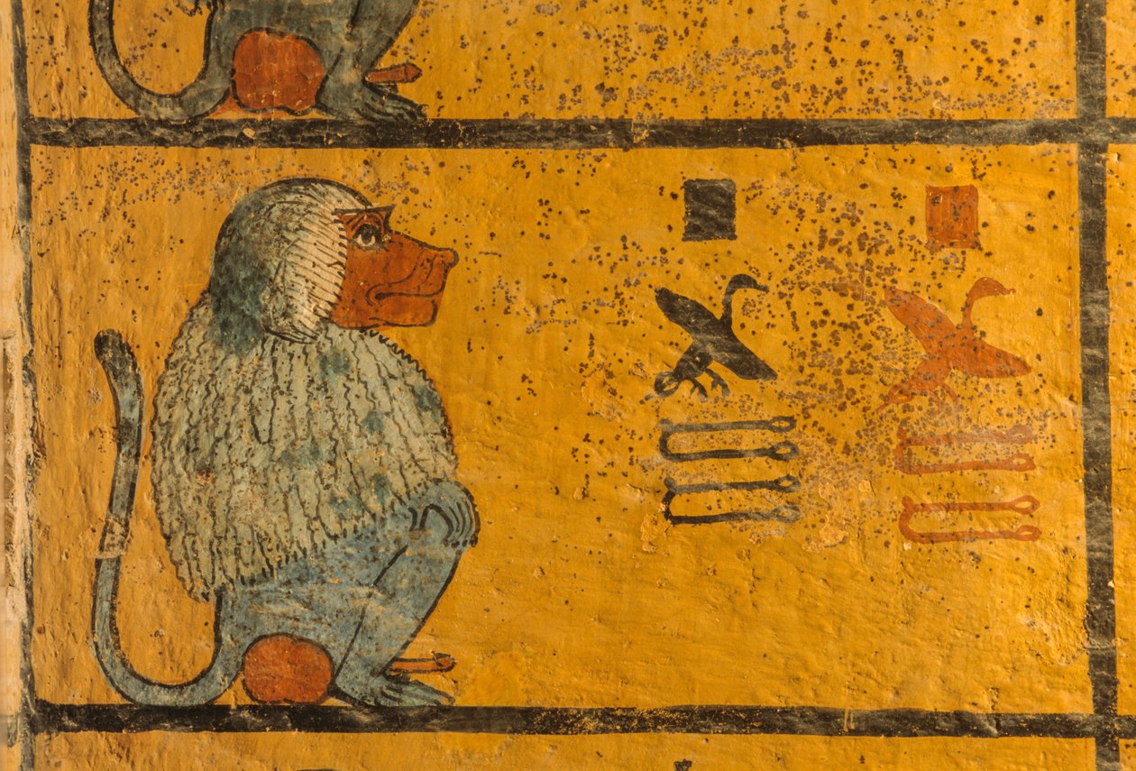 Paviaani, seinämaalaus kuningas Tutankhamonin haudassa; KV52, Kuninkaiden laakso, Theban,..., 2003 (kuva) tekijältä Kenneth Garrett