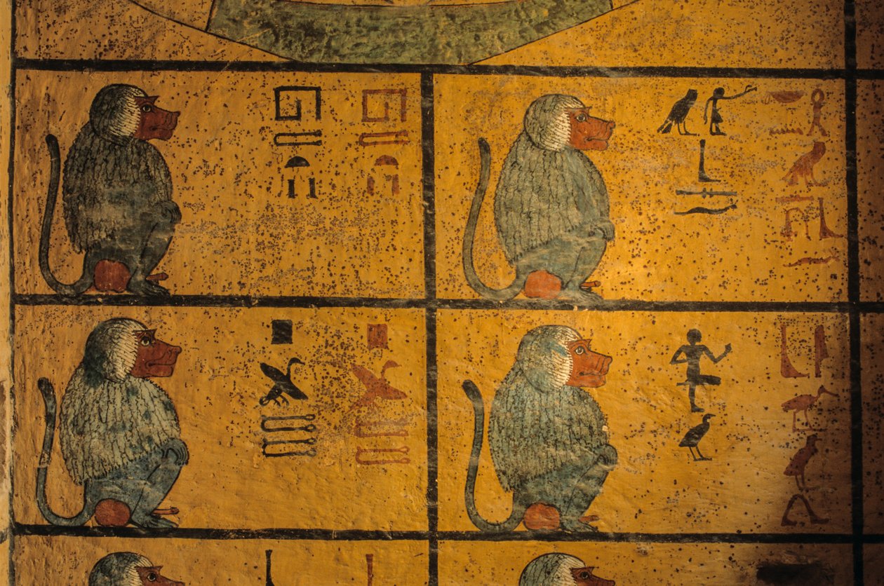 Paviaaneja, seinämaalaus kuningas Tutankhamonin haudassa; KV52, Kuninkaiden laakso, Theban..., 2003 (kuva) tekijältä Kenneth Garrett