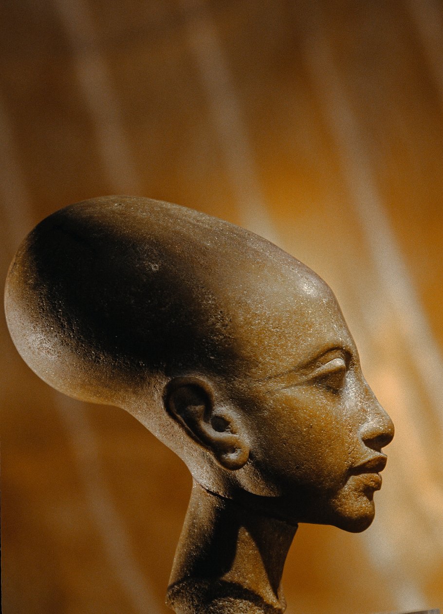 Prinsessan komposiittipää Amarnasta, laajasta egyptiläisestä arkeologisesta..., 2009 (kuva) tekijältä Kenneth Garrett