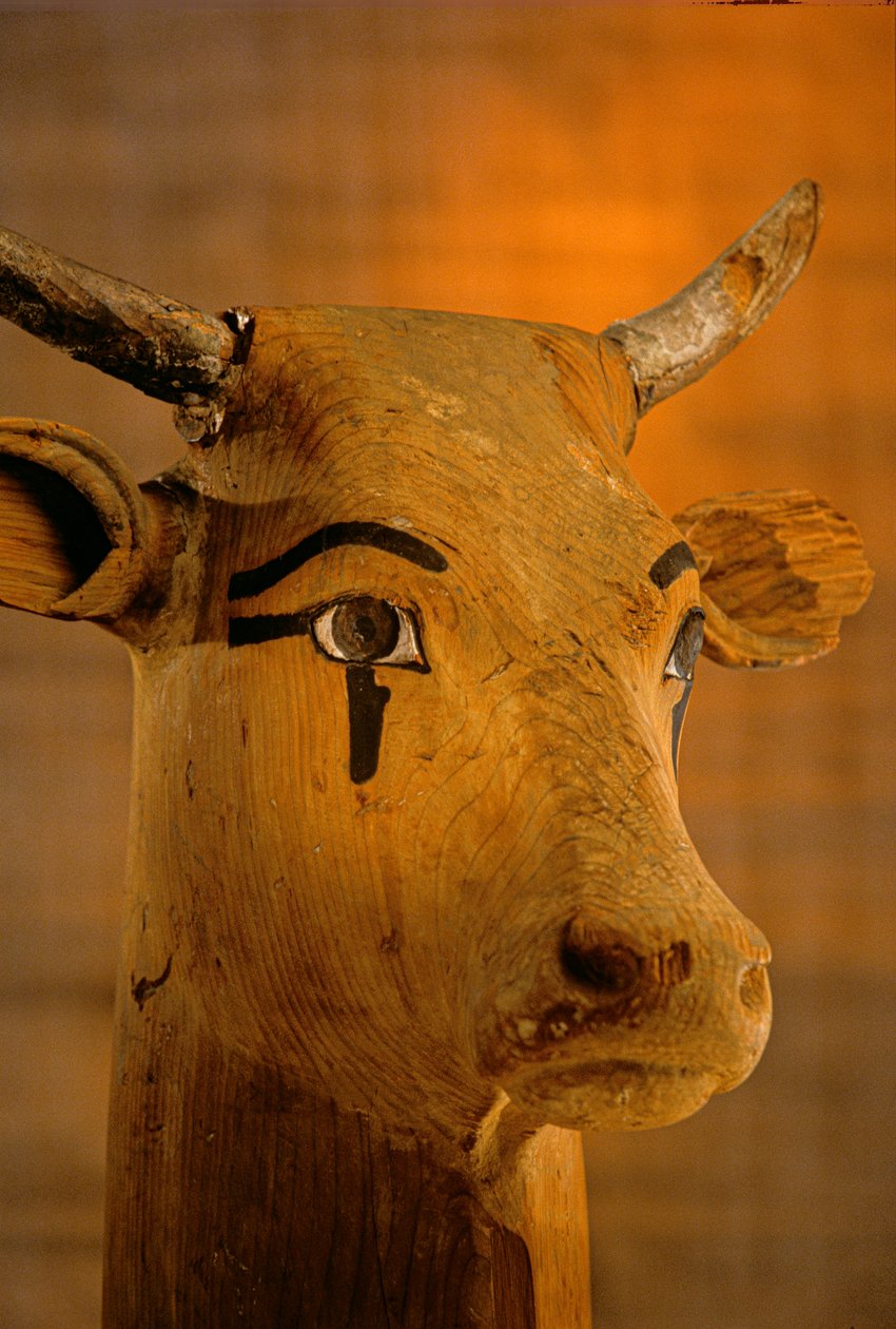 Lehmänpääveistos, KV35; Amenhotep II, 2009 (kuva) tekijältä Kenneth Garrett